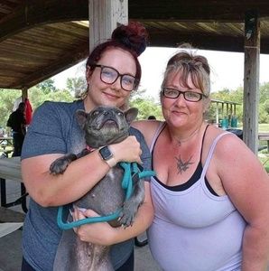 Meet your Posher, Tracy